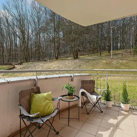 Blue Mandarin Wood *